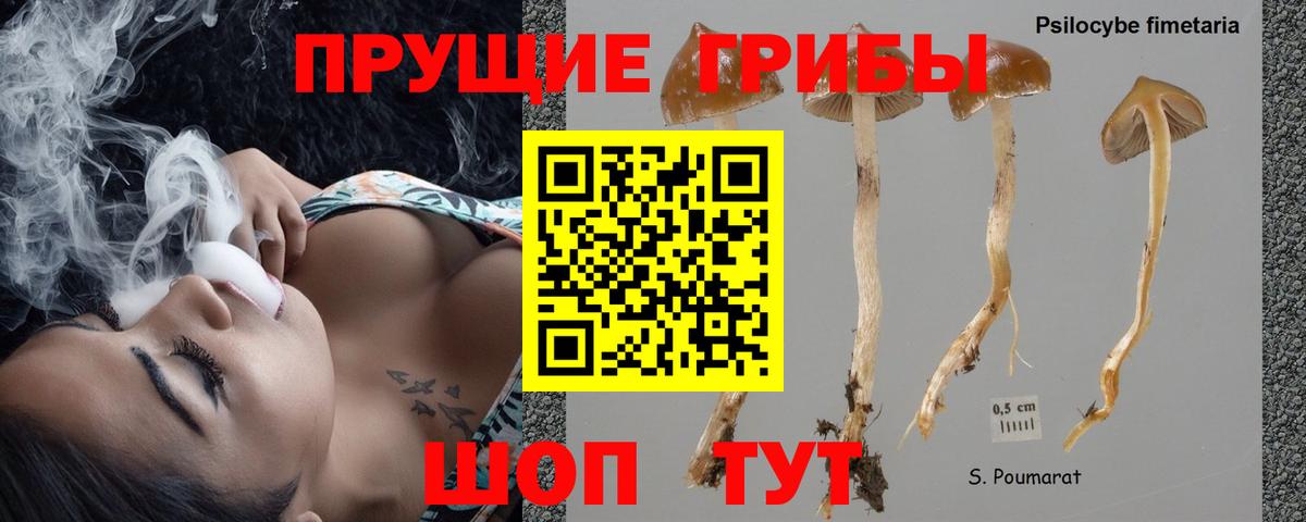Псилоцибиновые грибы GOLDEN TEACHER Надым